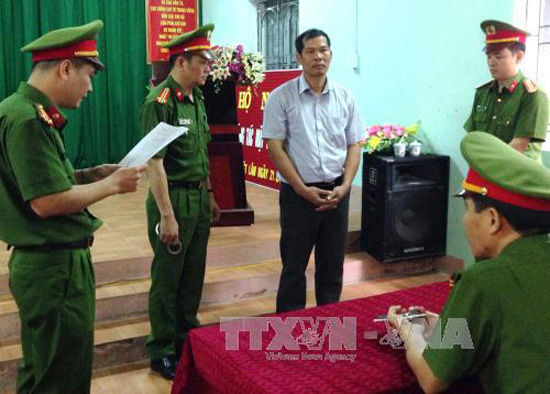 Bắt tạm giam đối tượng vi phạm các quy định về khai thác và bảo vệ rừng ảnh 1